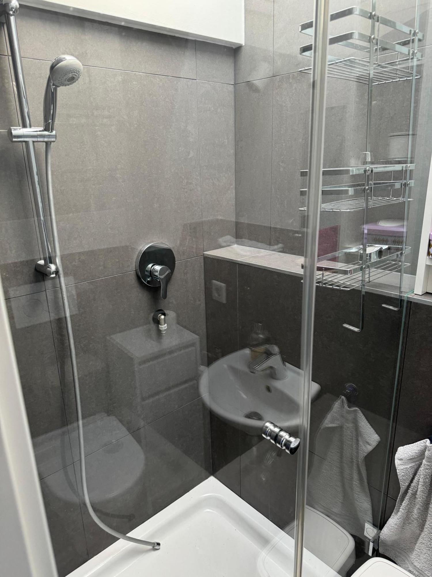 6 Zimmer Maisonette-Penthouse Pool Dachterrasse Luxus Мюнхен Екстериор снимка
